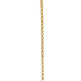 Rolo Gold Chain
